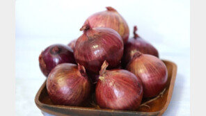 [한가위 남도의 情]양파를 통째 갈아서 약리성분 많이 함유 