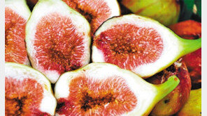 [한가위 남도의 情]영양 넘치는 단호박-무화과, 모두가 즐기는 선물 