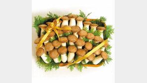 [한가위 남도의 情]새송이-표고버섯에서 한약재까지 “참살이 먹거리 고장 화순의 선물” 