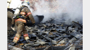 ‘석란정 화재’ 순직 소방관 2명, 19일 영결식…1계급 특진도