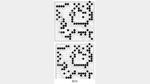 [바둑]알파고 vs 알파고 특선보… 흑의 안개가 걷히다