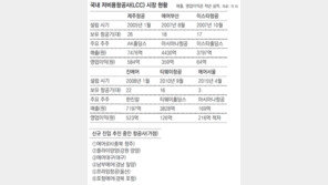 저비용항공 시장에 6개 기업 도전장… 제살깎기 경쟁 우려