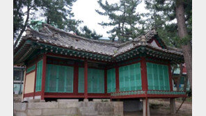 치매노모 매일 뵙는게 소원이라더니… 예비신부 놔둔채…