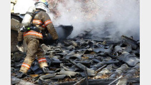 ‘석란정 화재’ 순직 소방대원들, 네티즌 분통…“60년 된 정자가 뭐라고”