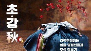 옥션, 한가위 프로모션 ‘초강추(秋)’ 진행