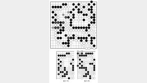 [바둑]알파고 vs 알파고 특선보… 난데없는 패착
