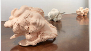 바닥에 내팽개쳐진 백설공주의 미소… 도발일까 욕망일까