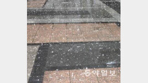 충주·경기 지역 일부, 우박 쏟아져…“아, 깜짝이야!”