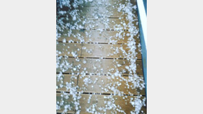 난데없는 우박에 깜놀 “ 우박 맞고 죽을 뻔…차 박살나는 줄”