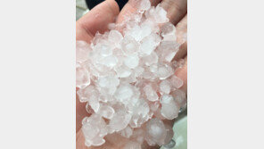 충주·춘천·의정부에 동전크기 우박 ‘후두둑’…기상청 “중부 내륙 중심 우박”