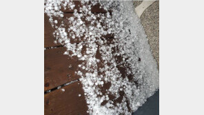 충주 우박 생생 SNS 생중계… “ 밤톨만한 게 떨어져 머리 깨지는 줄”