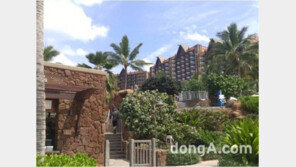 한국관광대학교, 교비지원 해외유학프로그램 화제