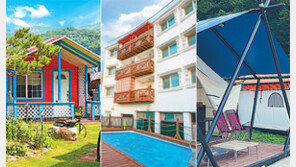 반려동물과 여행, 눈치 보지말고 즐기자