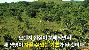 [대박! 이거 봤어?] 황무지에 오렌지 껍질을 버리면?