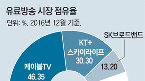 “KT 독점 견제해야” vs “소비자 선택권 보장을”