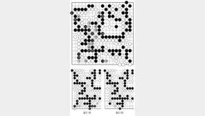 [바둑]알파고 vs 알파고 특선보… 이것으로 충분하다