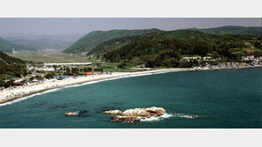 일제강점기 때 문무왕릉 희귀사진 발견