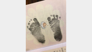 ‘조우종 아내’ 정다은 아나운서, 아기 수첩 공개…“발도장 꾸욱”