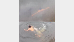 “파충류 통제 초능력 있다”며 악어강에 뛰어든 주술사 결국…