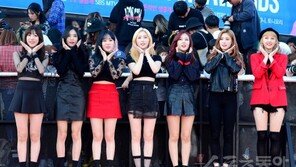 [포토] 늘 푸르른 소나무 입니다~