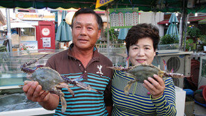 [오늘의 채널A] 삽교천 ‘꽃게 부부’ 대박의 비결