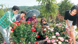 장미공원에 휴양림… 중부권 ‘가든관광’ 명소로 키운다