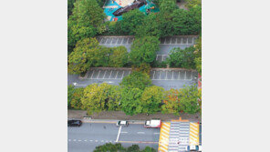 텅 빈 부산시청 주차장