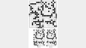 [바둑]알파고 vs 알파고 특선보… 이겼는데 더 애쓸 필요 없다