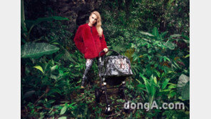 숲 속의 호랑이 테마로 한 한정판 ‘부가부 바이 위아핸섬’ 컬렉션 11월 출시