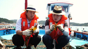 [오늘의 채널A] 최고의 품질 완도 전복의 양식 비결은?