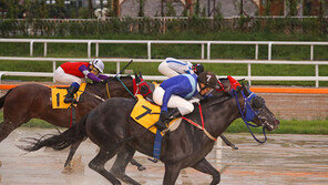 “서울 2세마 간판스타는 바로 나”