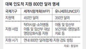 정부, 800만달러 대북지원 연내 집행