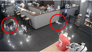 “반려견 무참히 도살”vs“망치들고 죽이겠다 협박” 견주와 애견호텔 진실공방