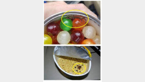 PX 공급식품 이물질 ‘논란’…사탕에 도마뱀 사체 ‘떠억’