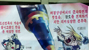 北삐라 서울 도심서 무더기 발견