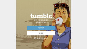 美 텀블러, ‘음란물’ 협력 대응 요청에…“韓 법률 적용 NO” 