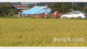 직장인 10명중 4명 “올 추석 귀향 포기” …평균 7일 쉰다