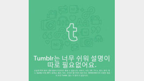 텀블러는 어떤 사이트? “올 상반기 음란물 시정요구 74% 달해”