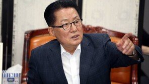 박지원 “홍준표 대표, 靑 가서 자기 할 말 다하면 되는 것”