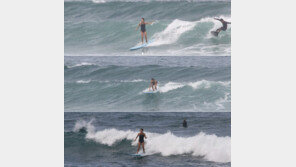 발리 아궁 화산 분화 조짐…‘발리 휴가 中’ 엄정화 “현재 안전한 곳에”