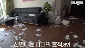 “주인, 나갔다!”…주인 외출에 파티 여는 개들