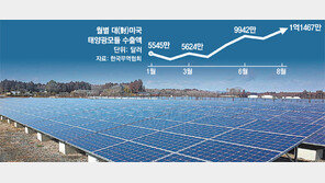 美국제무역위 “한국산 태양광모듈 탓 자국산업 피해”, 긴급 수입제한 거론… 업계 긴장