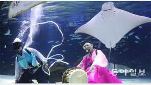 “즐거운 한가위 맞으세요” 물속에서 전통놀이 한마당