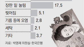 꽁꽁 숨어있다 망가진채 모습 드러내는 5만원권