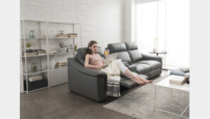 현대리바트, ‘레오니카’와 독점 계약, 소파 강화