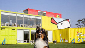 애견과 귀성길, 휴게소 체크하셨나요?