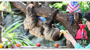 “추석특식 맛있어요”