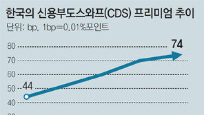 CDS프리미엄 19개월만에 최고
