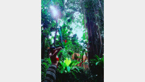 “섹시 또는 청순”…윤아정, 푸켓의 여신