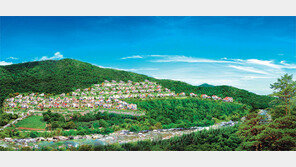 [화제의 분양현장]홍천 별장형 주말농장에서 힐링 하세요∼ 